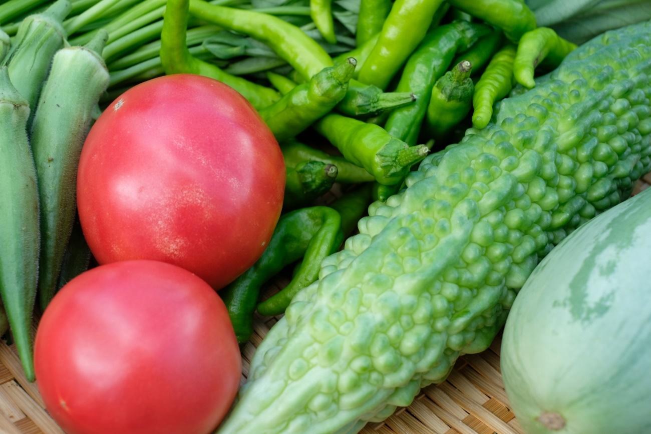 【夏バテ予防】体力が奪われがちな夏には野菜もしっかり食べよう！